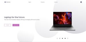 Laptop sales website designed by Ridaly